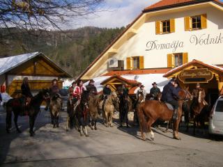 Domačija Vodnik & Apartments - Cerklje na Gorenjskem - 2