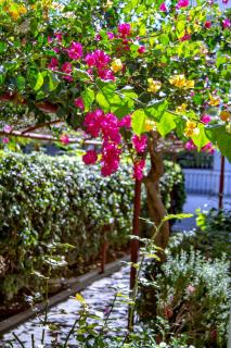 Lyda Hotel - Gouves - 1