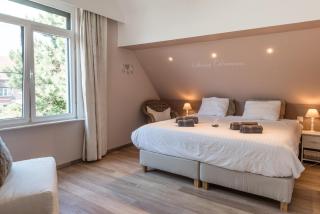 B&B Alegría - Mechelen - 9