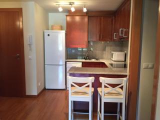 Apartamento frente Pistas de Esquí La Molina - La Molina - 2