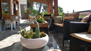 Albergo La Pineta - Marina dʼAndora - 6