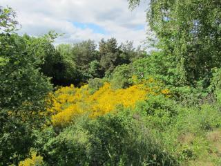 Holiday Home Holmehøj - 6