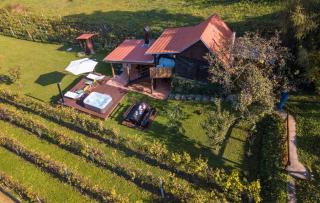 Holiday home Podgaj - Šiljakovina - 1