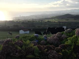 Villa Flor do Monte - Lagoa - 9