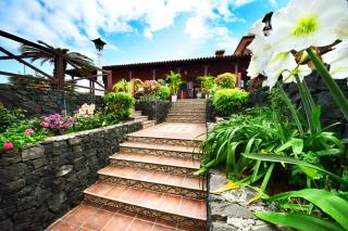 Alina - Vivienda vacacional con piscina privada - Puerto de la Cruz - 5