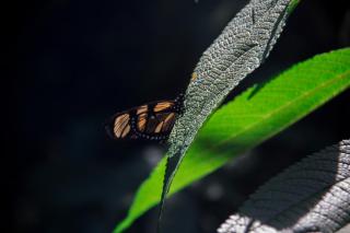 Hotel Ponto de Luz - Joanópolis - 2