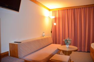 Ski-In/Ski-Out Hotel Sport - 8