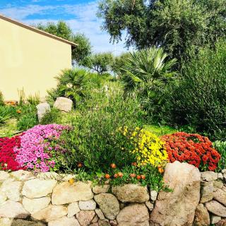 Agriturismo Rocce Bianche - Arbus - 1