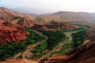 Riad Berbère Boutaghrar - Bou Tharar - 6