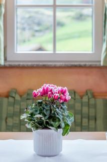Villa Castelbell - Sölden - 1