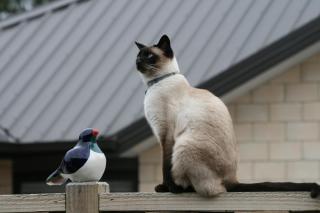 Grosvenor House B&B - 3