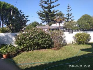 Casa Amarela - Esmoriz - 6