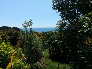 Ridgehaven Accommodation - 1