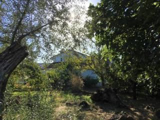 Finca Horno de Cal - Aracena - 3