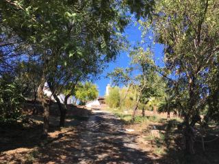 Finca Horno de Cal - Aracena - 5