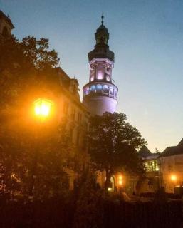 Gold - Sopron - 4