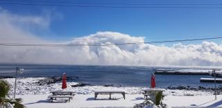 Dodam Dodam Pension - Seogwipo - 5