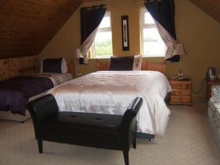 Shealane Country House - Valentia Island - 2