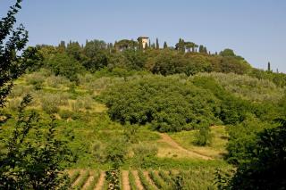 Casa Rosa - Firenze - 5