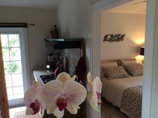 Mediteranean style Ohana Rental / Garden Bungalow in Pahoa - Honolulu Landing - 0