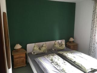 Apartment in beautiful Harz region with terrace - Kamschlacken - 5