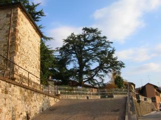 Antica Scuderia - Buttrio - 9