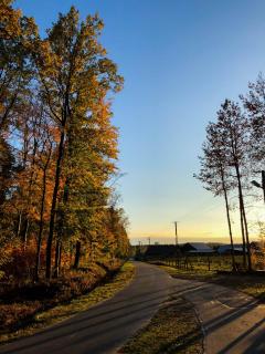 Zagroda Nad Kotelnią - Pawłowa - 8