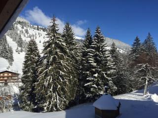 Le Charme 9 - Morgins - 3