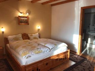 Hotel Four Seasons - Samokow - 9