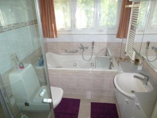 B&B Pappelweg - 2 - Muttenz - 8