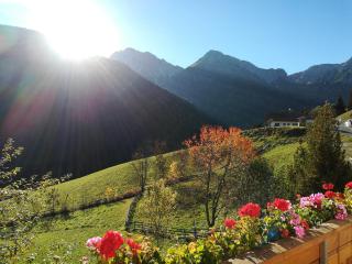 Bigraberhof - 7