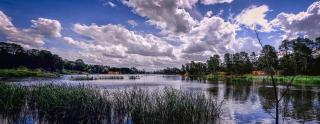Cherry Blossom Cottage - Beechworth-Getaways - Beechworth - 2