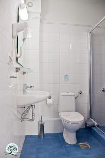 Hotel Melissanthi - Paralia Dionysiou - 9