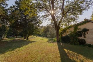 Podere Le Capannucce - Pontedera - 5