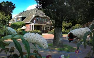 Afbeelding van de locatie