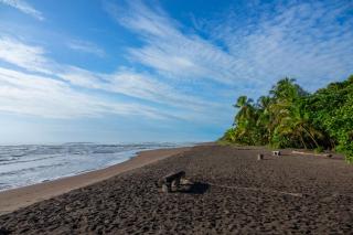 Laguna Lodge - Tortuguero - 4