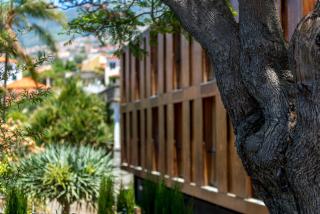 ARTS IN Hotel Conde Carvalhal - Funchal - 9