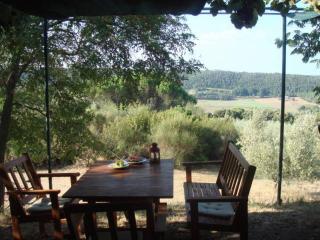 Agriturismo Le Serre - Riparbella - 1