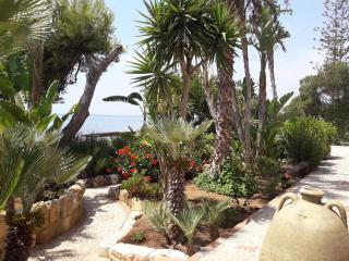 Villa giardino sul mare - Top solarium and garden - 6