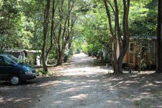Camping de la Chapelette - Saint-Martin-de-Crau - 4
