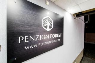 Penzion Forest - Rozvadov - 8