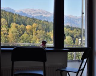 SinaiaMountainView - Vista - Sinaia - 7