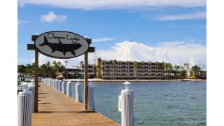 Cheeca Lodge & Spa - Islamorada - 7