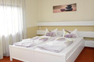 Hotel Bliesbrück - Herbitzheim - 8