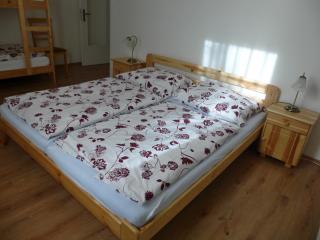 Apartmán u Javoru - 4