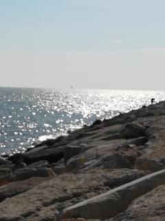 Casamarin3 - Caorle - 8