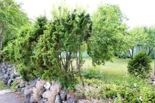 Kraavi Guest Hostel - Kuressaare - 5