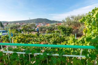 Apartments and Room Milka-Jere - 5