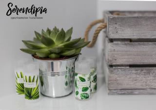 Serendipia San Justo - Cáceres - 7