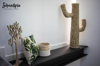 Serendipia San Justo - Cáceres - 9